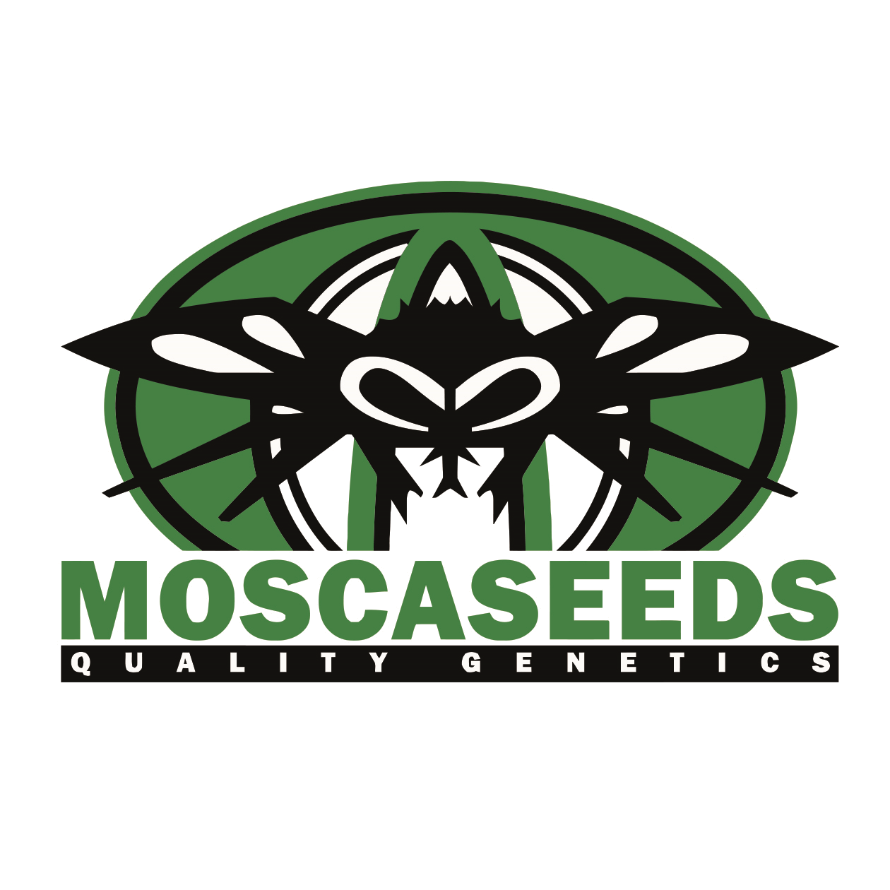 Mosca logo clr | MOSCA SEEDS