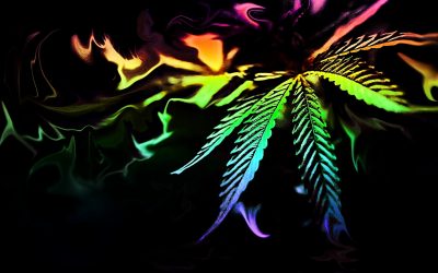 It’s 420! What it Means for Cannabis Culture, the Industry, and Growers