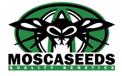 Welcome to Mosca Seeds