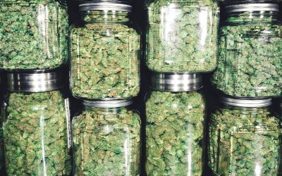 Illinois Adult Use Cannabis Program