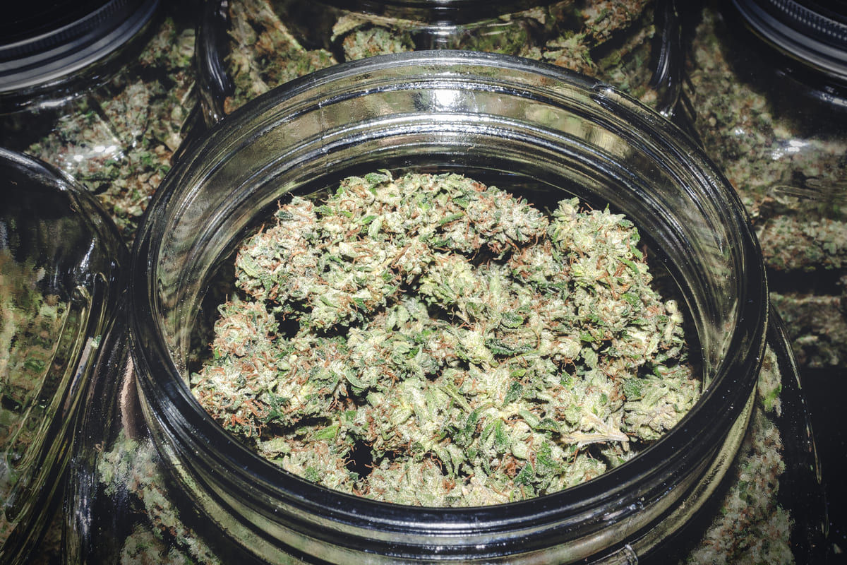 Can-you-grow-marijuana-at-home-in-oklahoma2 (1)