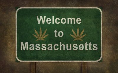 Growing Marijuana in Massachusetts