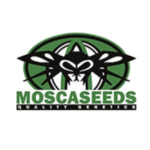 mosca cannabis seeds logo