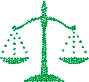 marijuana on the 2020 ballot in Arizona, Mississippi, Arkansas, Montana, New Jersey and South Dakota