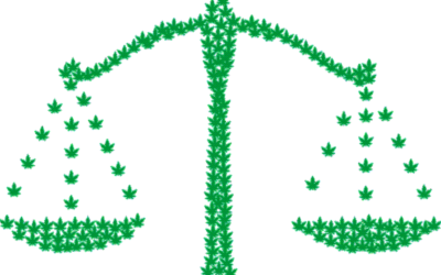 Cannabis Legislation on the 2020 Ballot this November