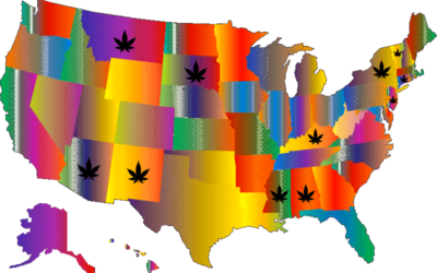Overview of Cannabis Home Grow State Laws in the U.S.