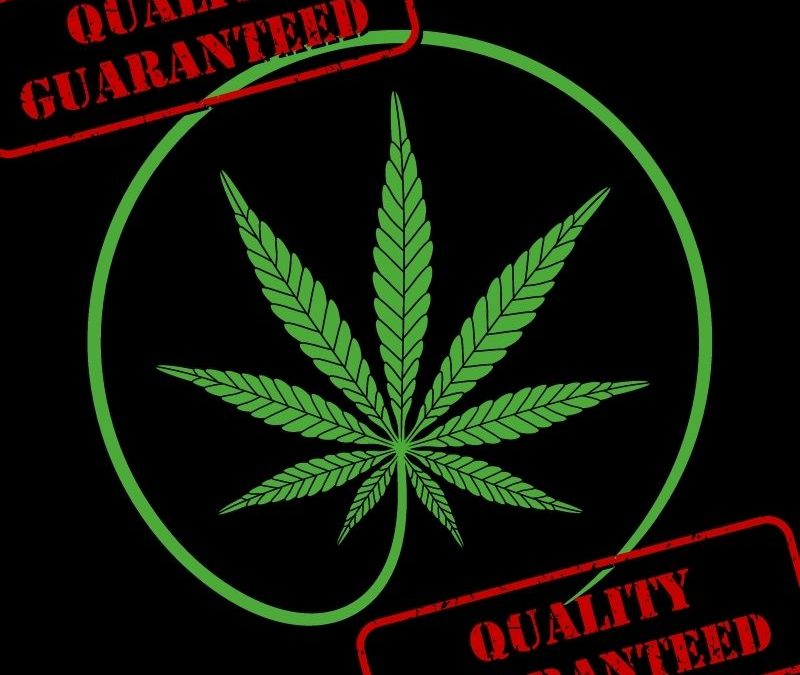 Quality Cannabis seeds
