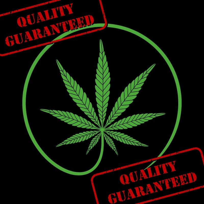 Quality Cannabis seeds
