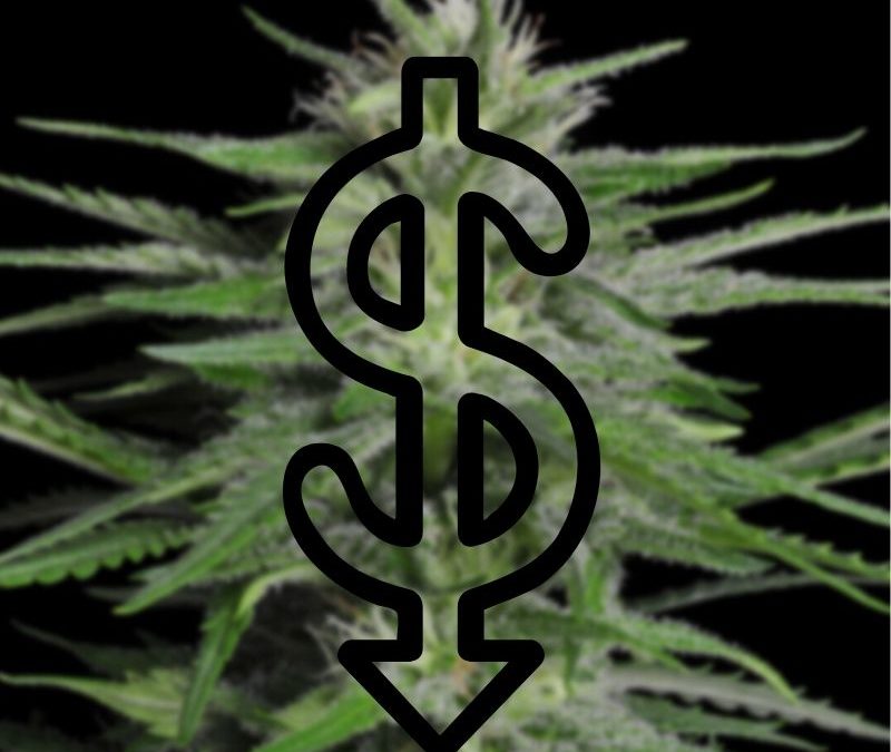 cost of growing cannabis