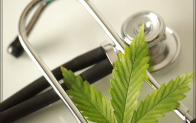 Is There a Difference between Medical Cannabis and Recreational Cannabis?