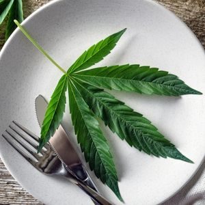Eating Cannabis