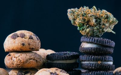 How Do Edibles Differ from Smoking Cannabis?