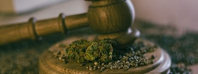 Cannabis Legislation FAQ icon