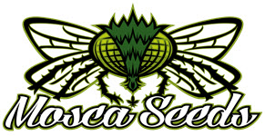 FQA Logo About Mosca Seeds