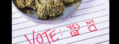 cannabis laws and legislation updates icon