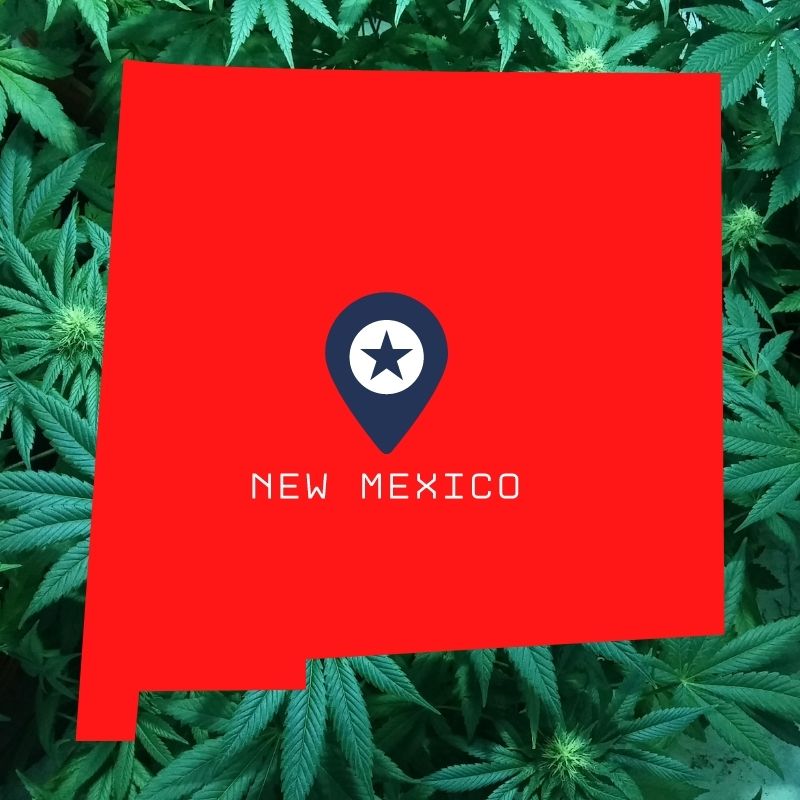 New Mexico cannabis laws