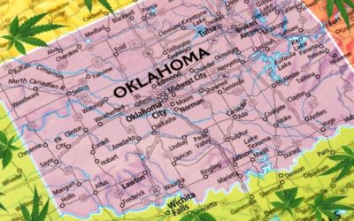 Oklahoma Cannabis Cultivation Licenses