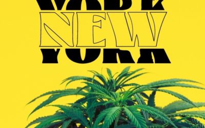 What’s In New York’s Cannabis Cultivation Law?