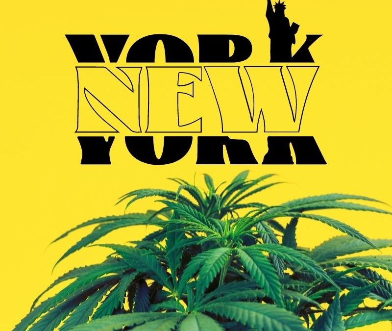 new york cannabis laws