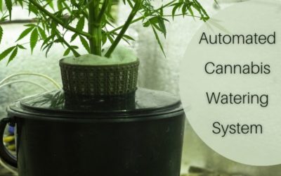 How to Set Up an Automated Cannabis Watering System