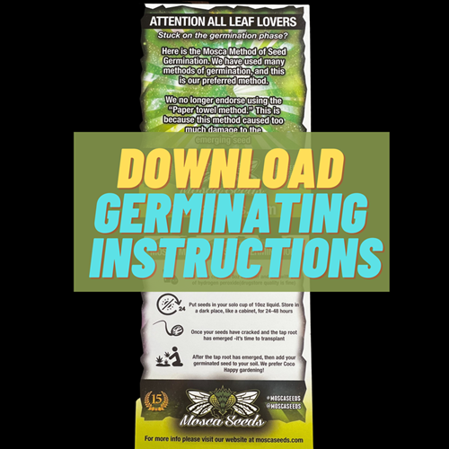 GERMINATING INSTRUCTIONS