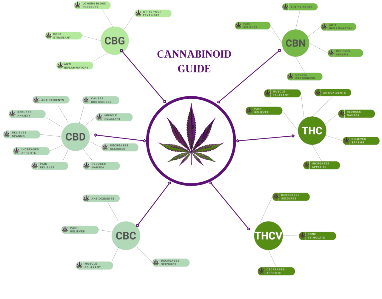 Cannabinoid Guide Infographic - MOSCA SEEDS