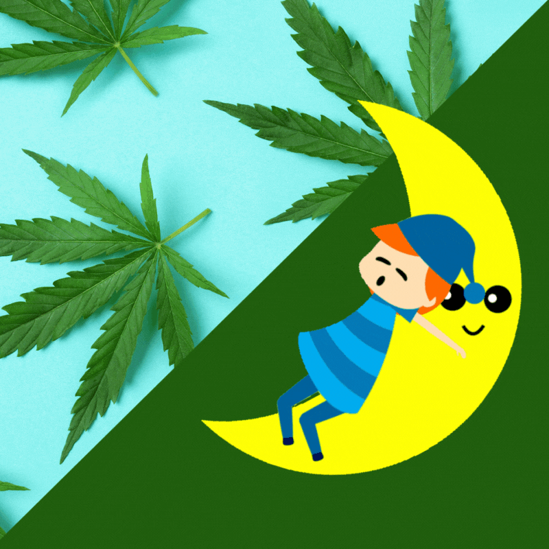 cannabis helps insomnia