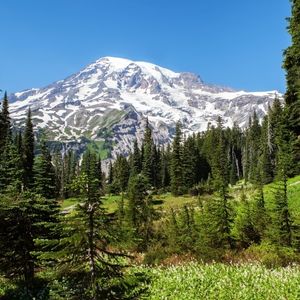 Mount Rainier Washington State