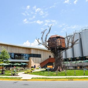 Dogfish Head Craft Brewery Milton Delaware