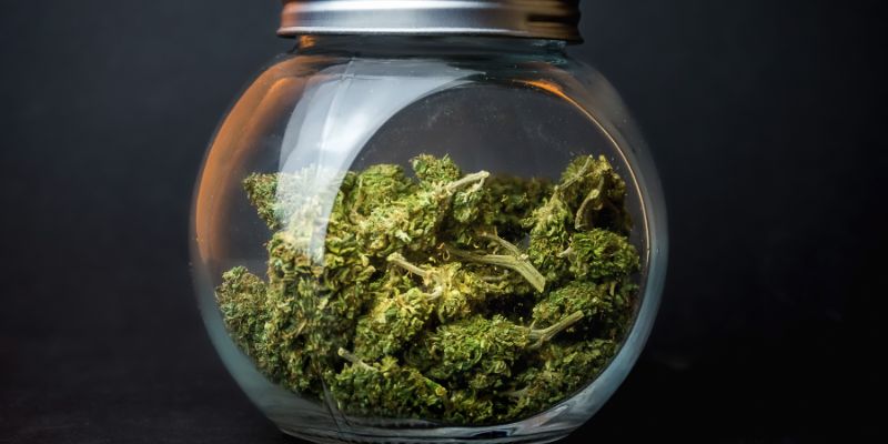 Curing Your Weed for the Best Smoke