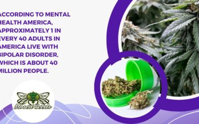 Does Cannabis Help with Bipolar Disorder?