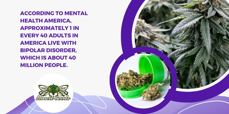medical cannabis for Bipolar Disorder