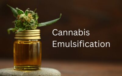 Cannabis Emulsification: What’s the Big Deal?