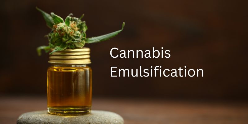 Cannabis Emulsification