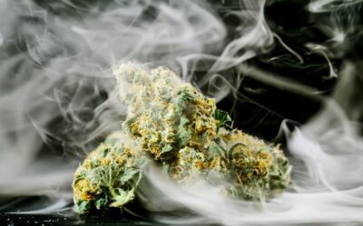 Reducing Cannabis Smell When You Smoke