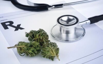 Cannabis & High Blood Pressure 411