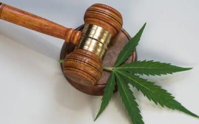 New Federal Focus on Total THC in Hemp Closes Loophole