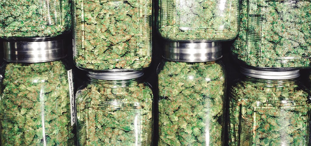 Maryland cannabis sales