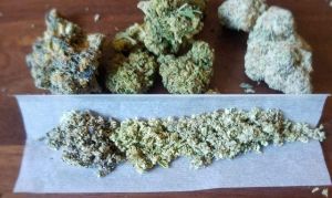 blending cannabis