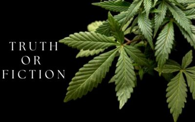 Dispelling Common Marijuana Myths: Separating Fact from Fiction