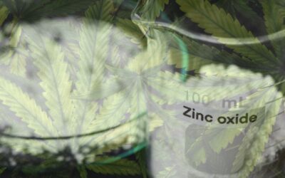 What Zinc Does for Cannabis and How to Correct a Deficiency