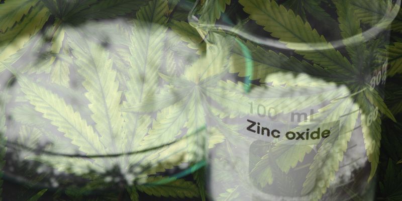 What Does Zinc Do for Cannabis