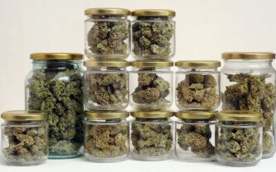 Storing Cannabis So It Lasts