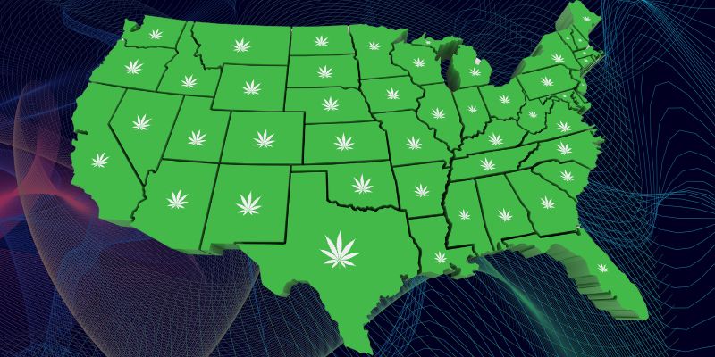 How Many Legal Cannabis Plants Can I Grow? State-by-State Guide