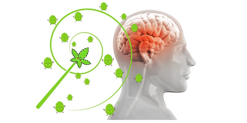 Using Cannabis for Migraine Headaches