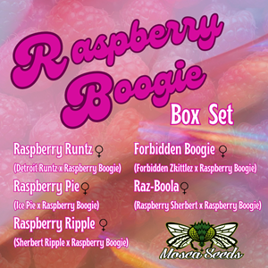 The Raspberry Boogie Box Set