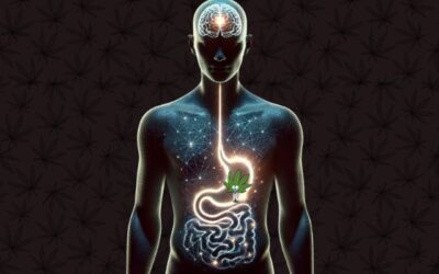 Does Cannabis Help With Stomach Issues?