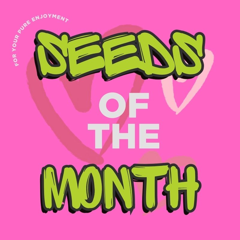 Mosca Seeds of The Month