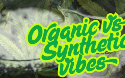 Cannabis Nutrients: Organic vs. Synthetic