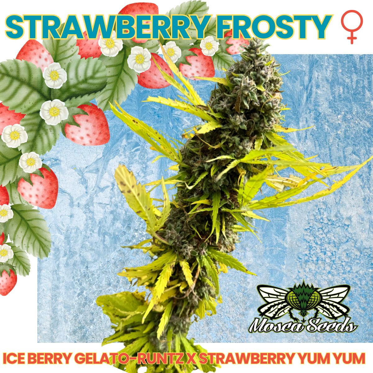 Strawberry Frosty